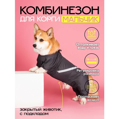 Водоотталкивающий комбинезон DiploDog для Корги (Пол: мальчик), Одежда для Корги (Пол: мальчик)