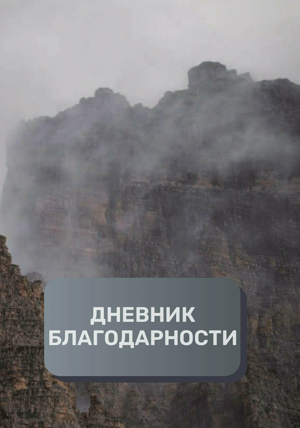 Дневник благодарности, премиум (подарочное) издание, 300 страниц