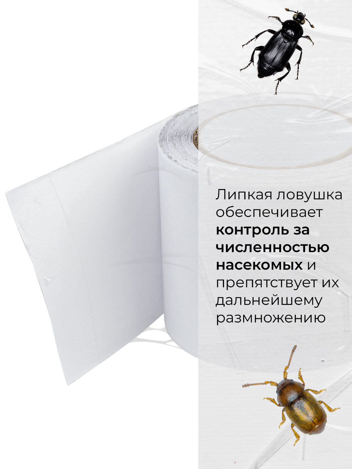 Ловчий пояс от садовых вредителей NoGuest, для деревьев, 5 м — фото 1