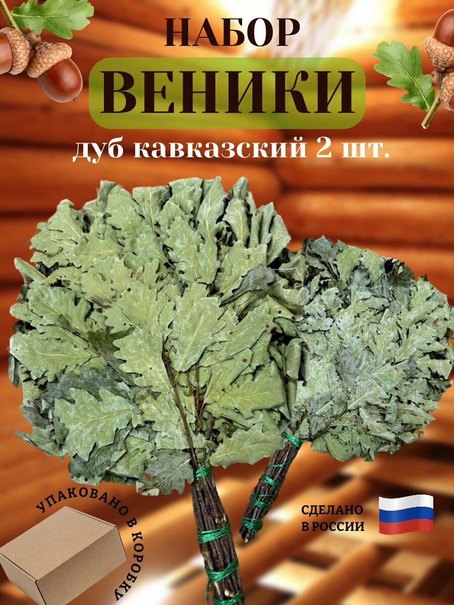 Веник для бани Кавказский Дуб 2 шт в картонной коробке.