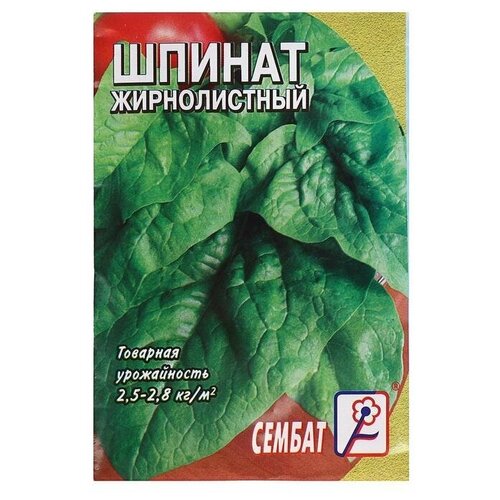 Семена шпинат Жирнолистный, 3 г семена шпинат жирнолистный 3 г 2 шт