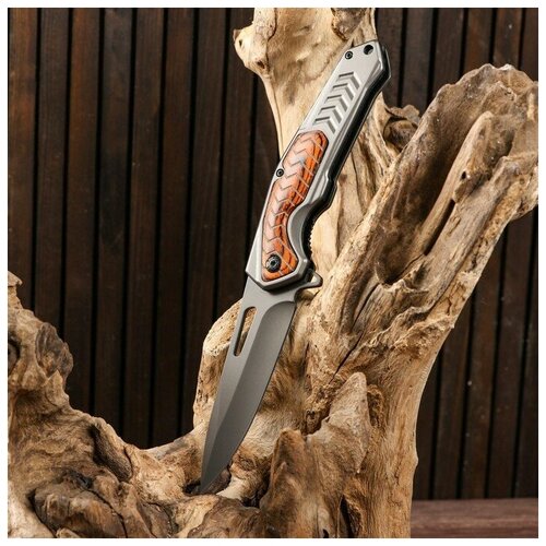 фото Нож складной теропром 5177905 полуавтоматический, накладка из дерева на рукояти, 22см, клинок 9,3см