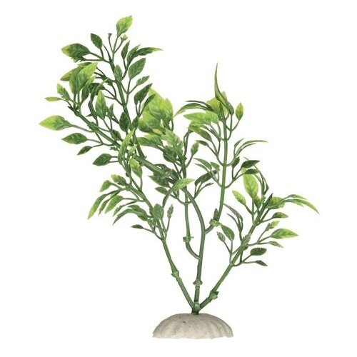 Растение Ротала зелёная пластик 13см