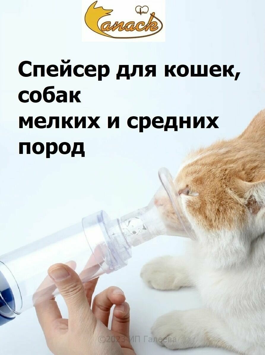 фото Спейcер (ветеринарный ингалятор) для кошек мелких собак