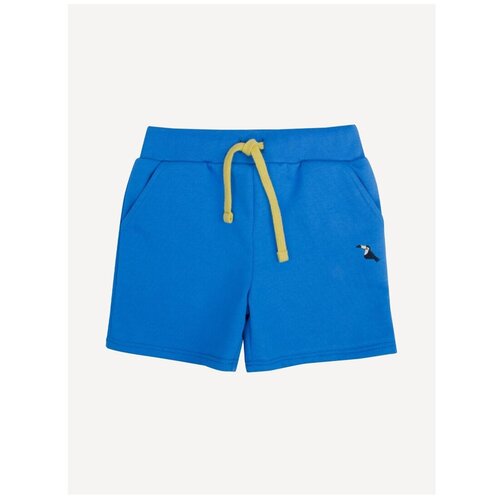 Хлопковые шорты на шнуровке с карманами Bossa Nova 312Л21-461-С Синий 116