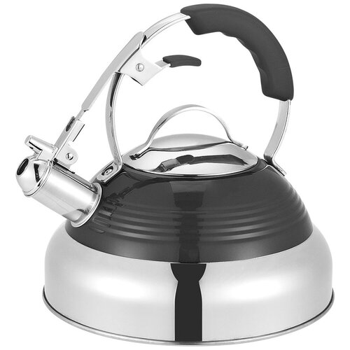 Электрический чайник Maunfeld MRK-119BK черный 416200₽