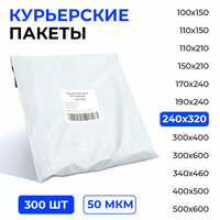 Лучшие Курьерские пакеты 240х320 см