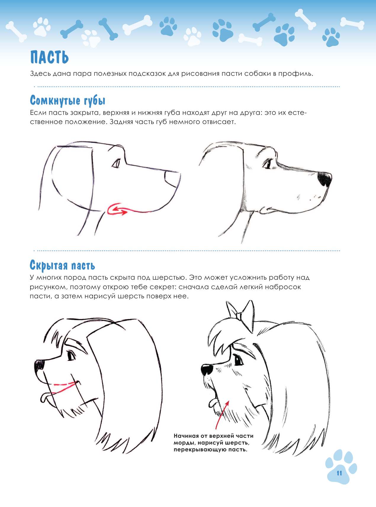 Учимся рисовать кошек и собак. Пошаговые уроки по созданию домашних любимцев - фото №10