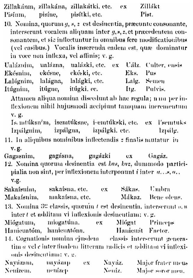 A Numipu or Nez-Perce grammar (ROCKY MOUNTAINS) - фото №8