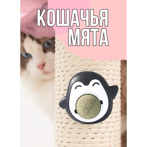 Кошачья мята Игрушка - лакомство для кошек Шарик с кошачьей мятой в форме Пингвина Кошачий леденец (Голубой)