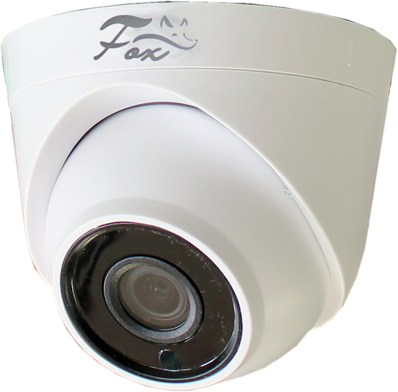 Камера видеонаблюдения внутренняя Fox FX-P2D 2 Мп - фотография № 1