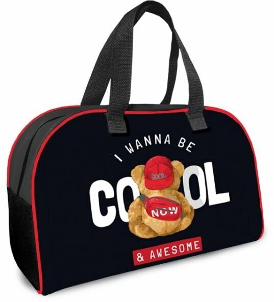 Школьная сумка Оникс С-15 Be cool