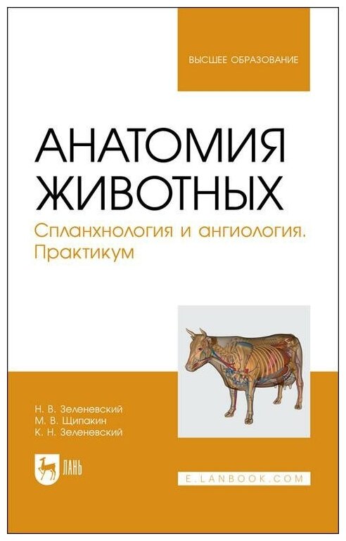 Анатомия животных Спланхнология и ангиология Практикум Учебное пособие для вузов - фото №1