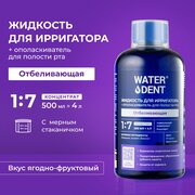 Жидкость для ирригатора+ополаскиватель ежедневный уход WATERDENT / Отбеливающая с солью древнего моря и лизоцимом / 500 мл