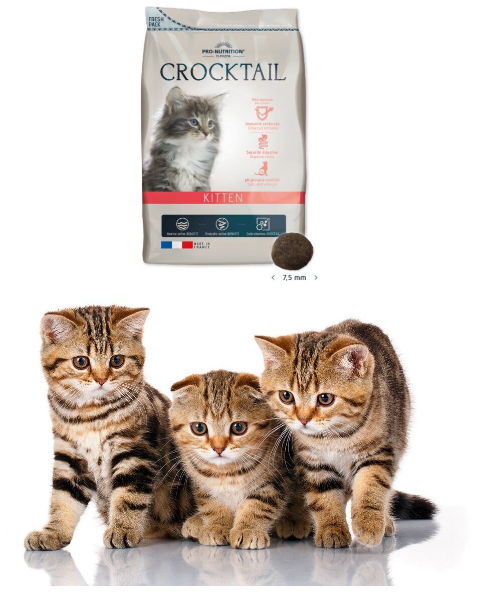 Сухой корм для котят Flatazor Crocktail kitten (2 кг) - фотография № 1