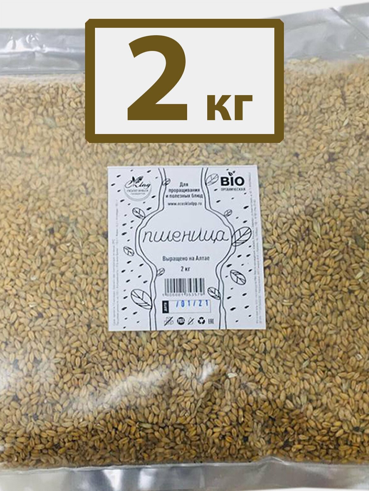 Пшеница Семена БИО для проращивания, 2 кг. - фотография № 2