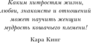 Кошки не бегают за собаками. Дерзкий подход к отношениям для слишком хороших женщин - фото №9