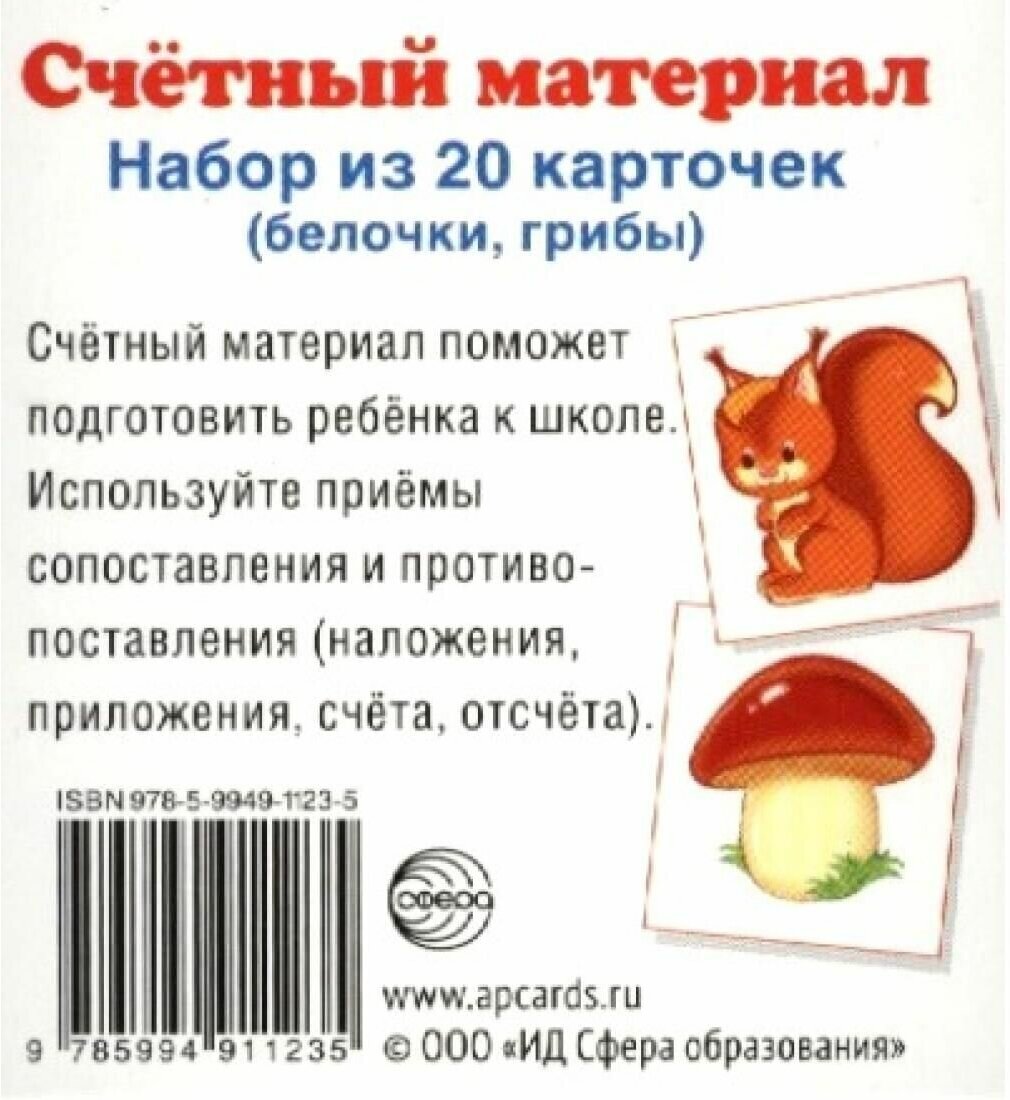 Счетный материал. Набор из 20 карточек (белочки, грибы) - фото №3