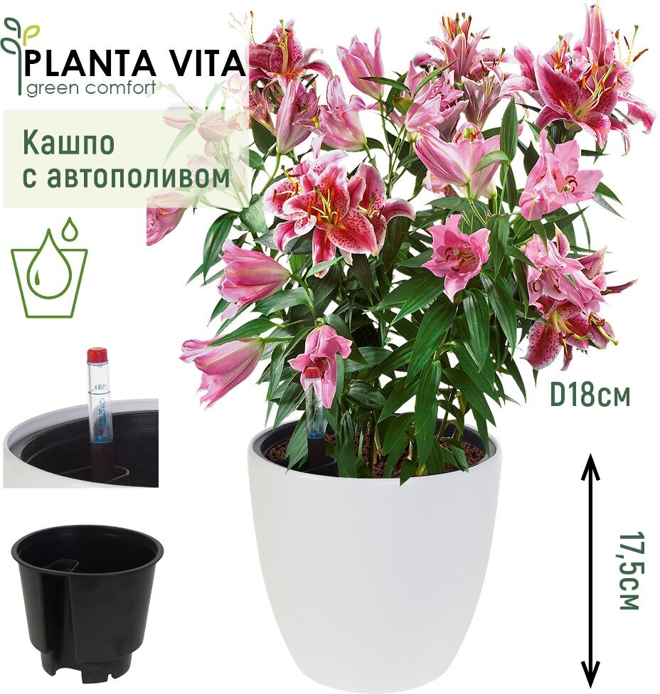 фото Кашпо PLANTA VITA "Round Matt white" с автополивом (пластик), D18xH17,5 см