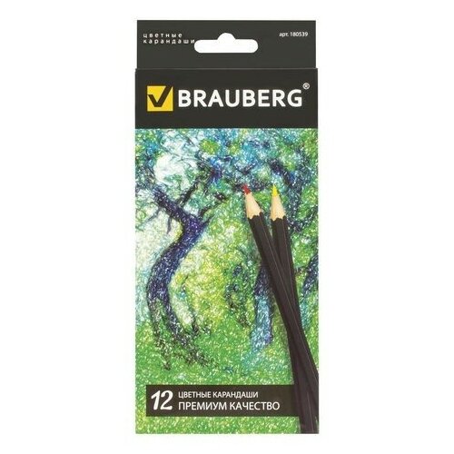 фото Карандаши цветные brauberg "artist line", 12 цветов, черный корпус, заточенные, высшее качество, 180539 (цена за 1 ед.товара)