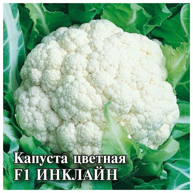 Гавриш Капуста цветная Инклайн F1 штук (Саката) 02 грамма