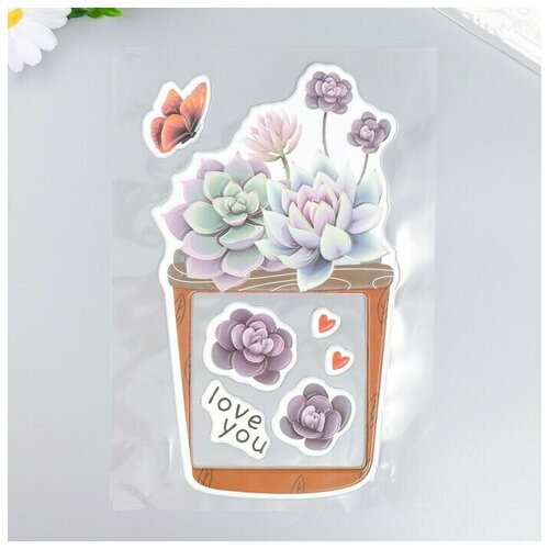 Наклейка на выключатель Суккуленты в горшочке окно 85х85 см объемная 26х165 см 437₽