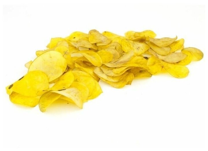 Сухоцвет листья лунарии Elitupak для декора 20 грамм в упаковке