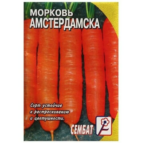 Семена Морковь Амстердамска, 2 г 10 упаковок морковь амстердамска 2 гр цв п