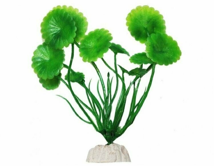 Растение аквариумное Уют, Щитолистник зеленый, 10 см