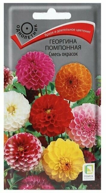 Семена цветов Георгина "помпонная Смесь окрасок" 0,3 г ( 1 упаковка )