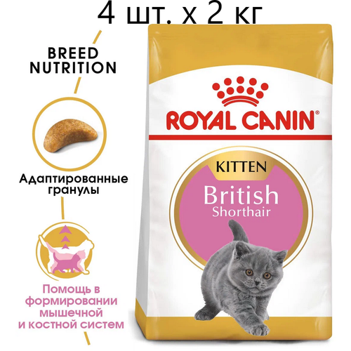 Сухой корм для котят Royal Canin British Shorthair Kitten, для котят породы британская короткошерстная, 4 шт. х 2 кг