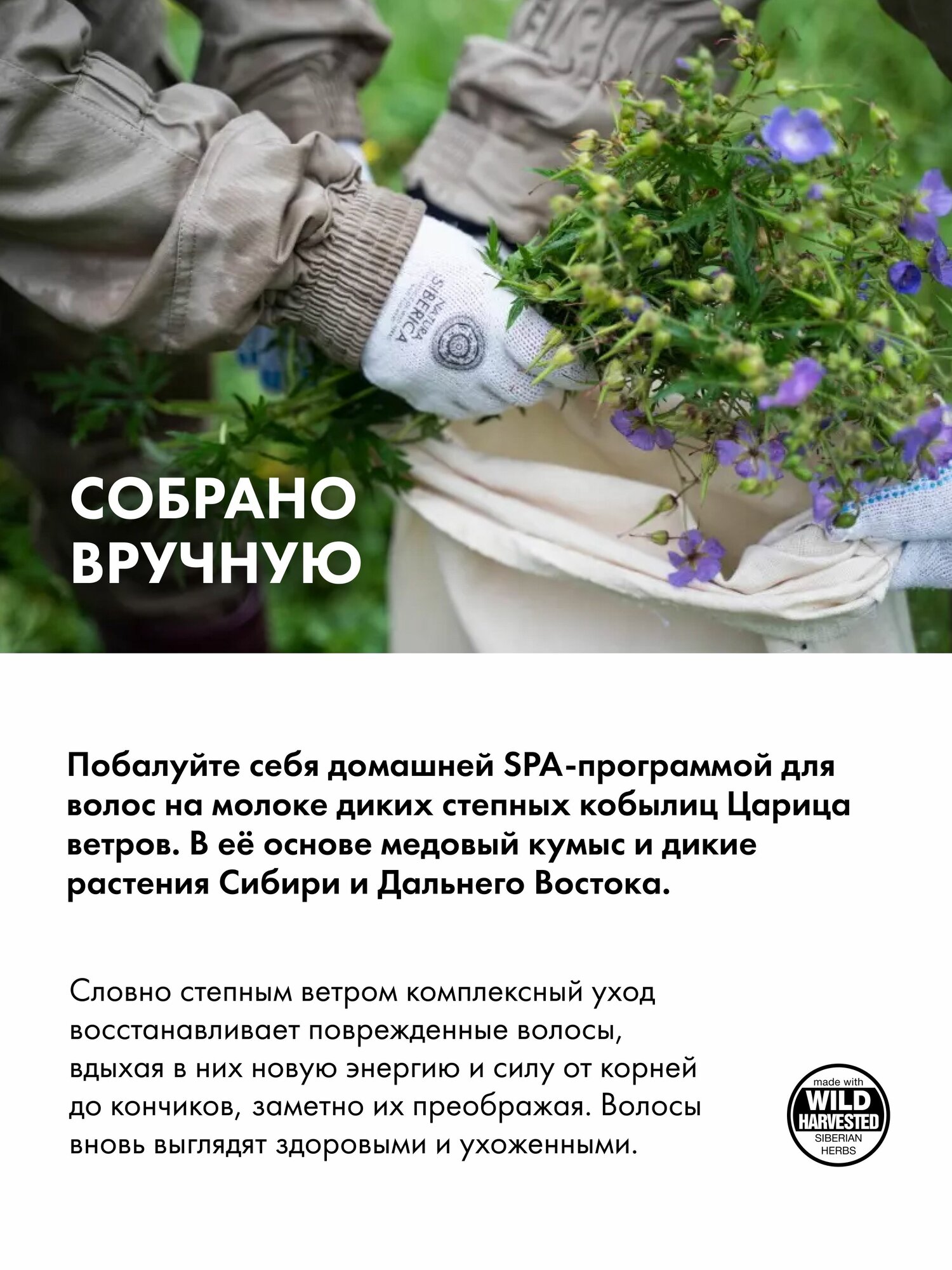 Молочко Для Волос Крем молочко для волос Natura Siberica разглаживающее увлажняющее, восстанавливающий несмываемый уход 50 мл