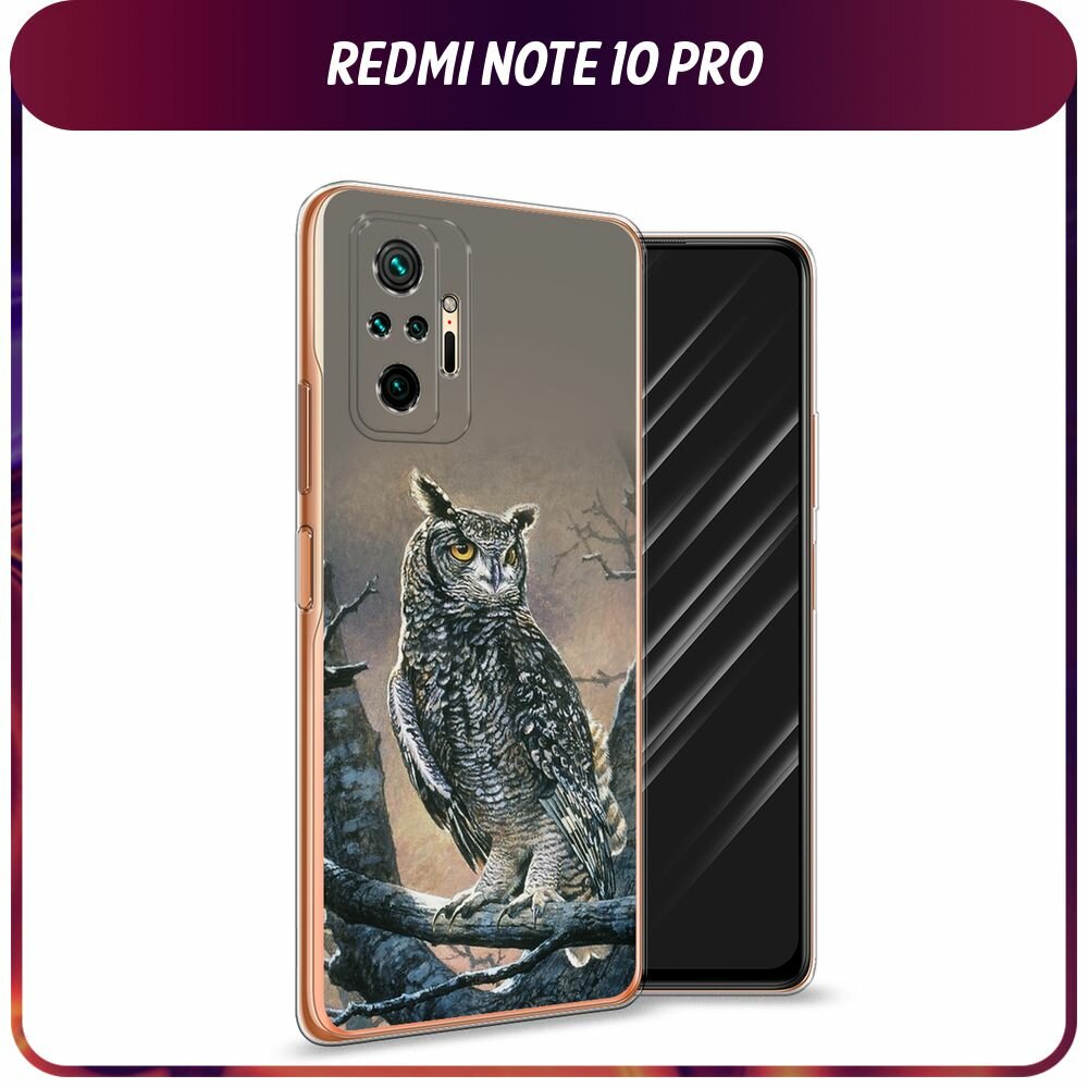 Чехол на Xiaomi Redmi Note 10 Pro / Сяоми Редми Нот 10 Pro с принтом "Сова арт 5"