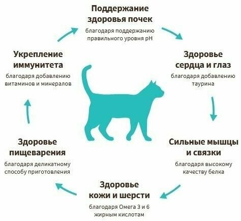 Корм для кошек GRANDORF Четыре вида мяса с пробиотиками сух. 2кг - фотография № 6