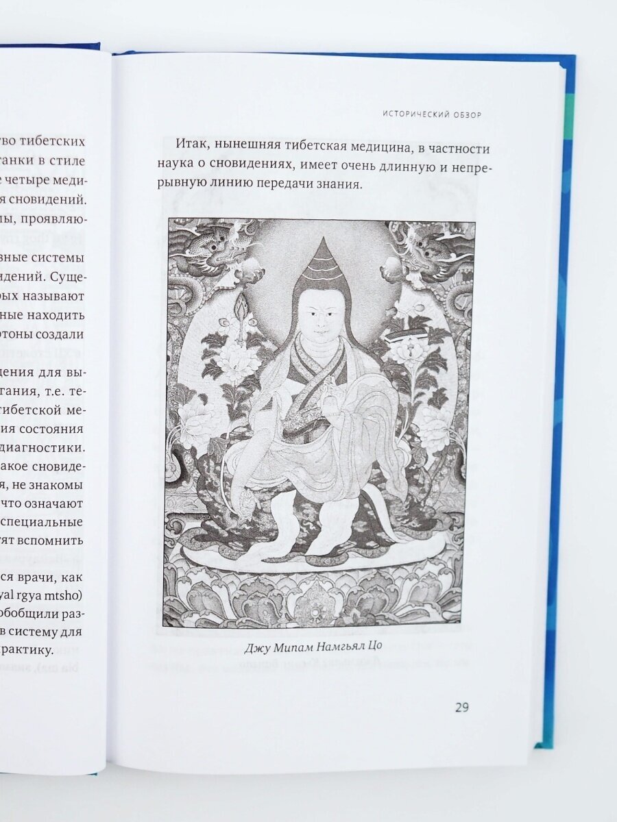 Йога сна. Анализ сновидений в тибетской медицине. Книга 1. Открытие себя - фото №3