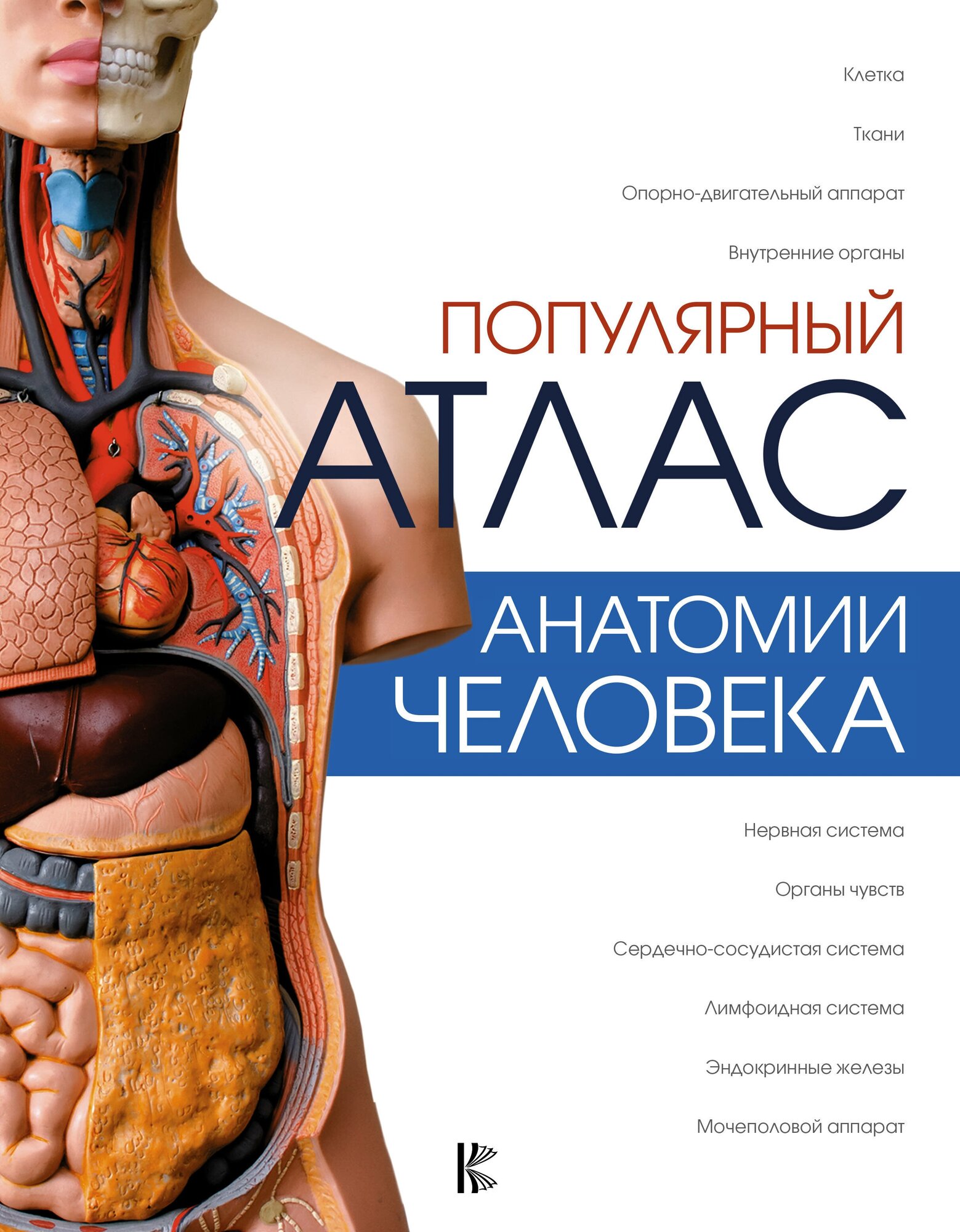 "Популярный атлас анатомии человека"Палычева Л. Н, Лазарев Н. В.