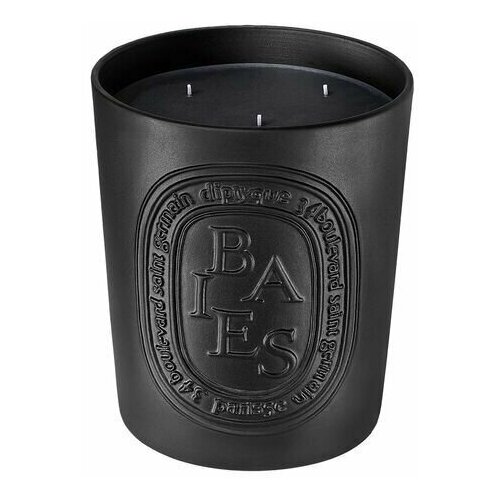 Ароматическая свеча Diptyque Black Baies, 600 г