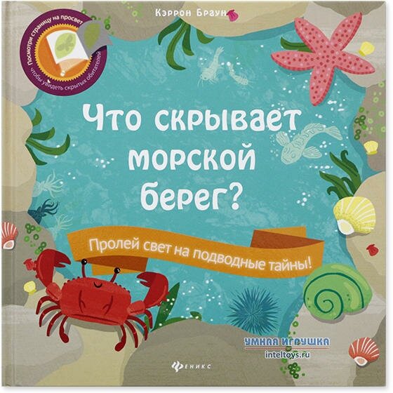 Книга «Что скрывает морской берег?», серия «Читаем с фонариком», Феникс