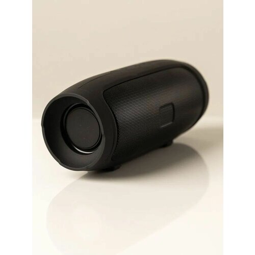 Портативная Колонка Charge mini 3 черная 65800₽