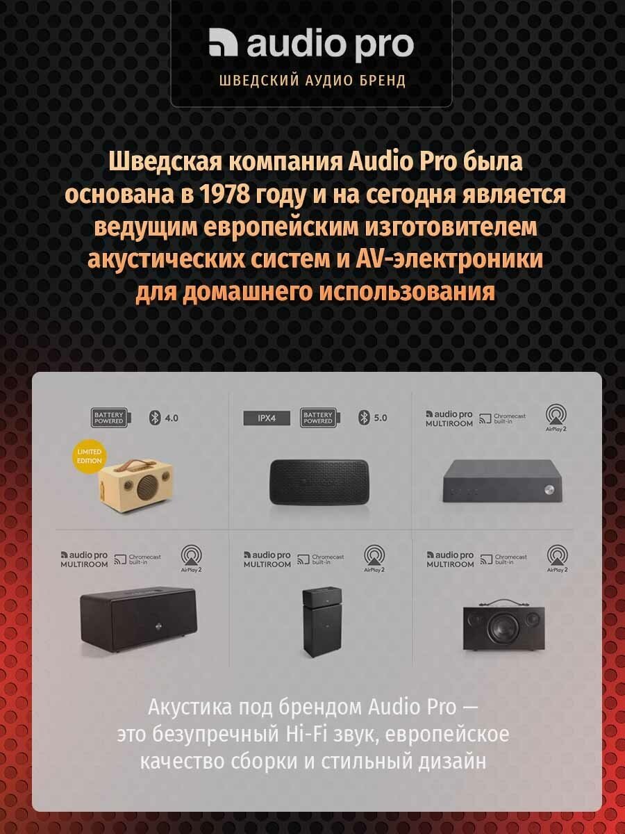 Беспроводная Hi-Fi-акустика Audio Pro - фото №13