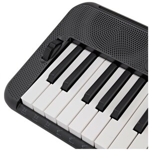 Casio CT S300