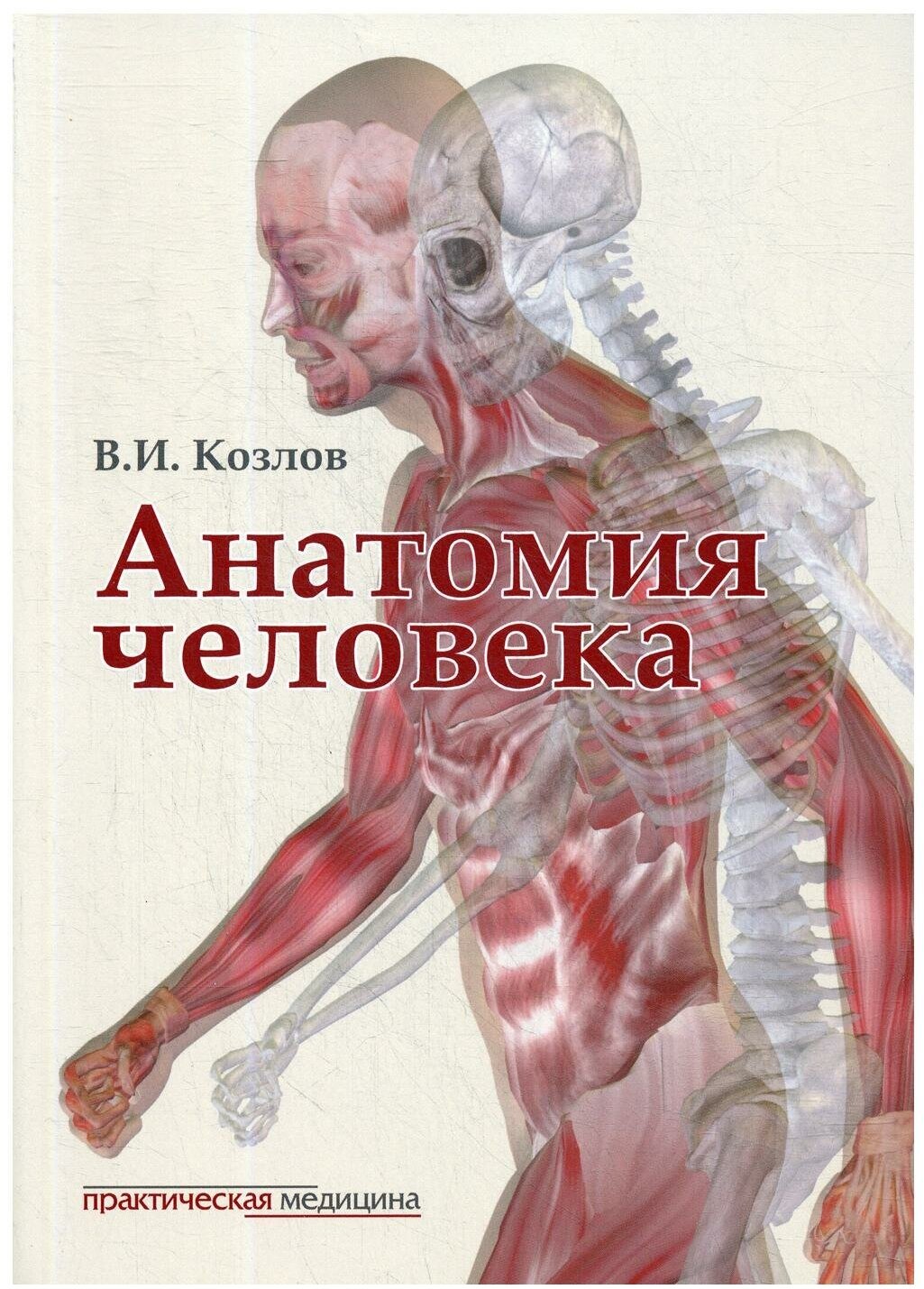 Анатомия человека: Учебник для медицинских вузов. 2-е изд, испр. и доп