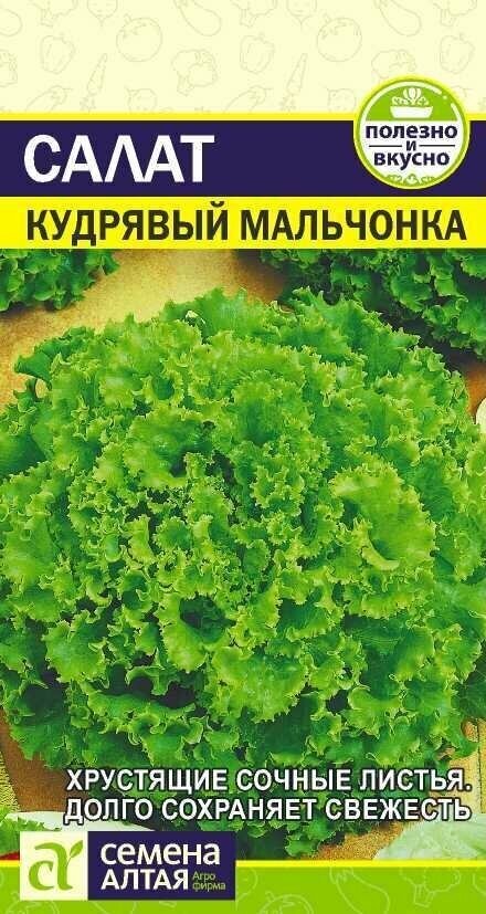 Салат кочанный Кудрявый Мальчонка 05г Семена Алтая