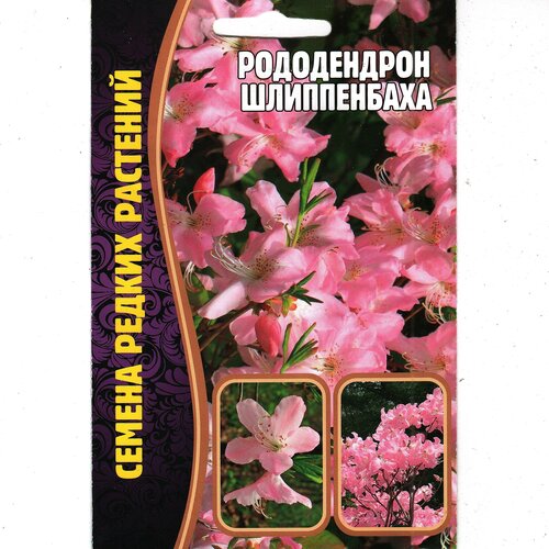 азалия рододендрон шлиппенбаха rhododendron schlippenbachii семена Азалия / Рододендрон Шлиппенбаха, многолетний кустарник ( 1 уп: 0,01 г )