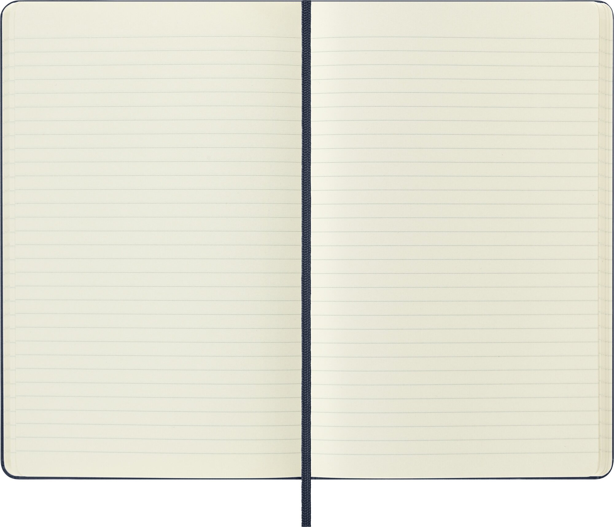 Блокнот Moleskine - фото №9