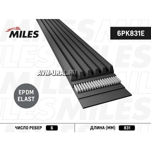 MILES 6PK831E Ремень ручейковый MILES 6PK831E