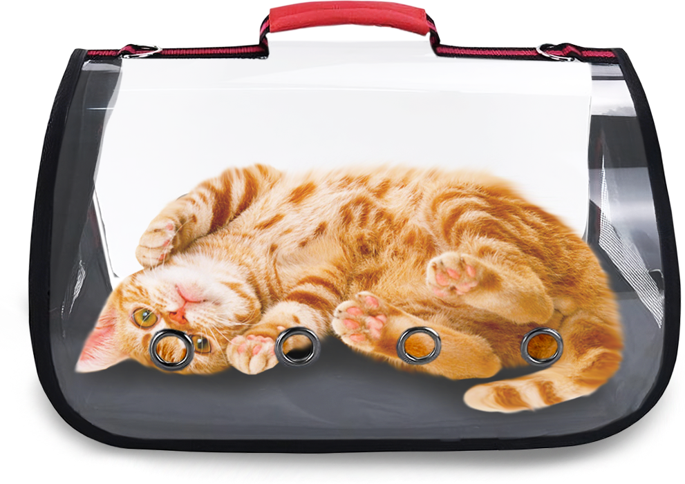 Переноска для кошек Solmax в поездку, сумка для животных, прозрачная - фотография № 8