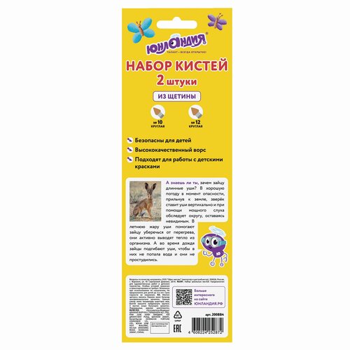 Упаковка 5 шт Кисти юнландия набор 2 шт Щетина круглые 10 12 блистер с европодвесом 200884 245₽