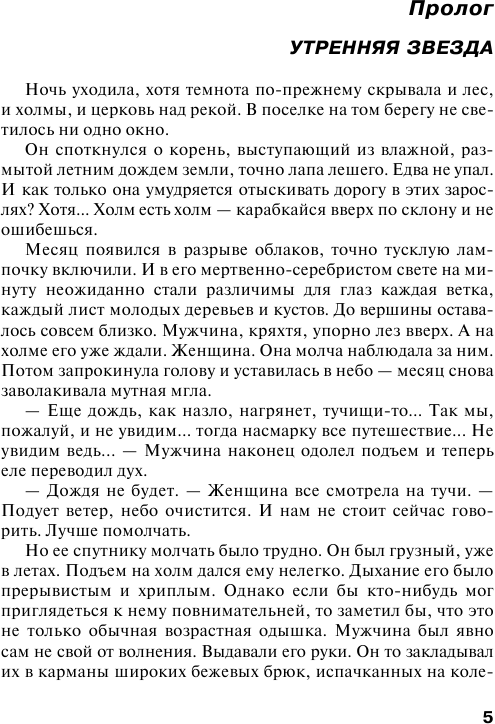 Все оттенки черного (Степанова Татьяна Юрьевна) - фото №6