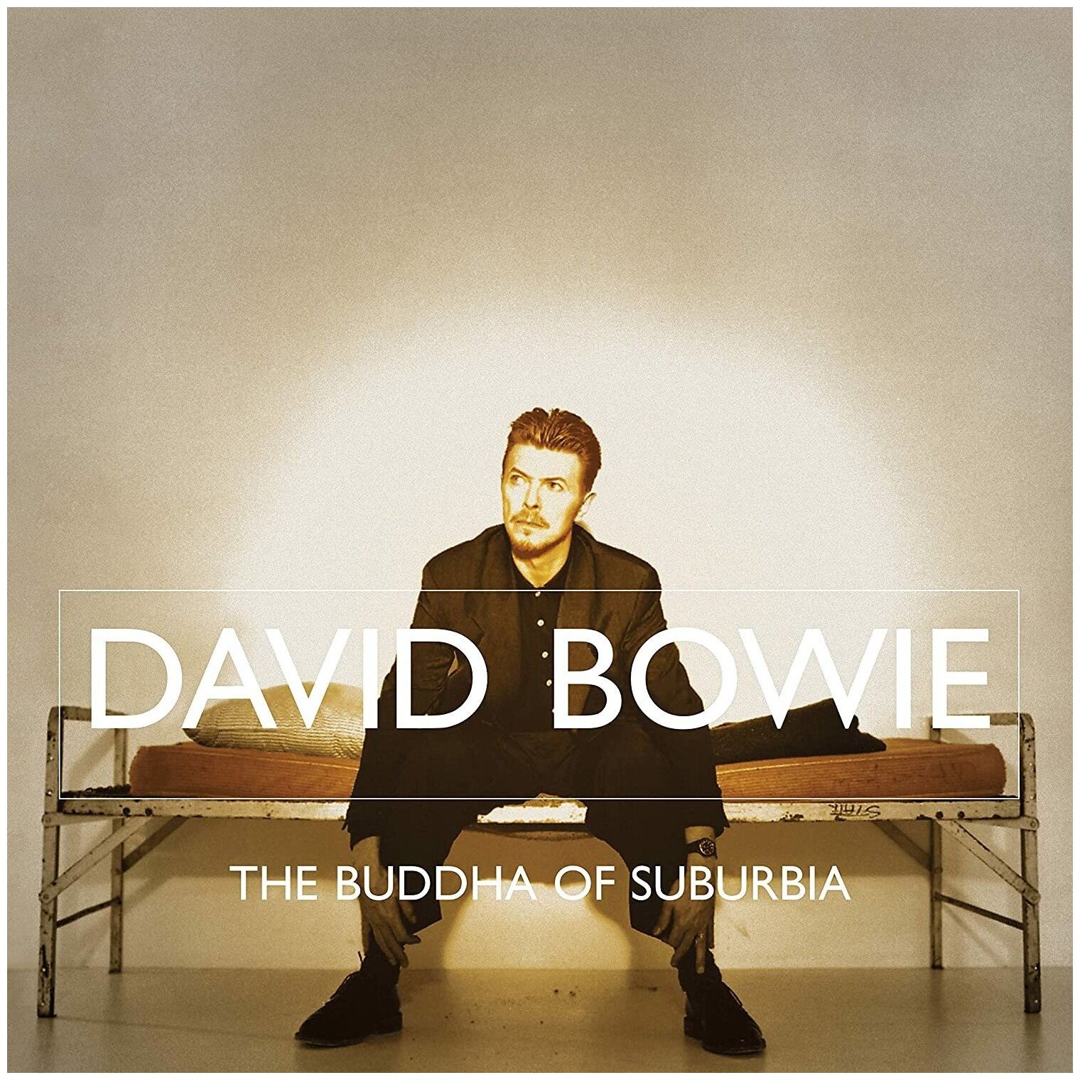 Виниловая Пластинка Bowie, David, The Buddha Of Suburbia (0190295253400) Warner Music - фото №1